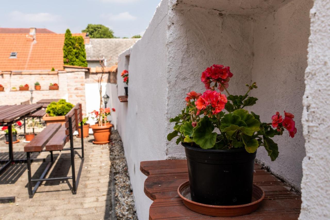 Fenyes Vinorium Bed & Breakfast Шопрон Екстериор снимка