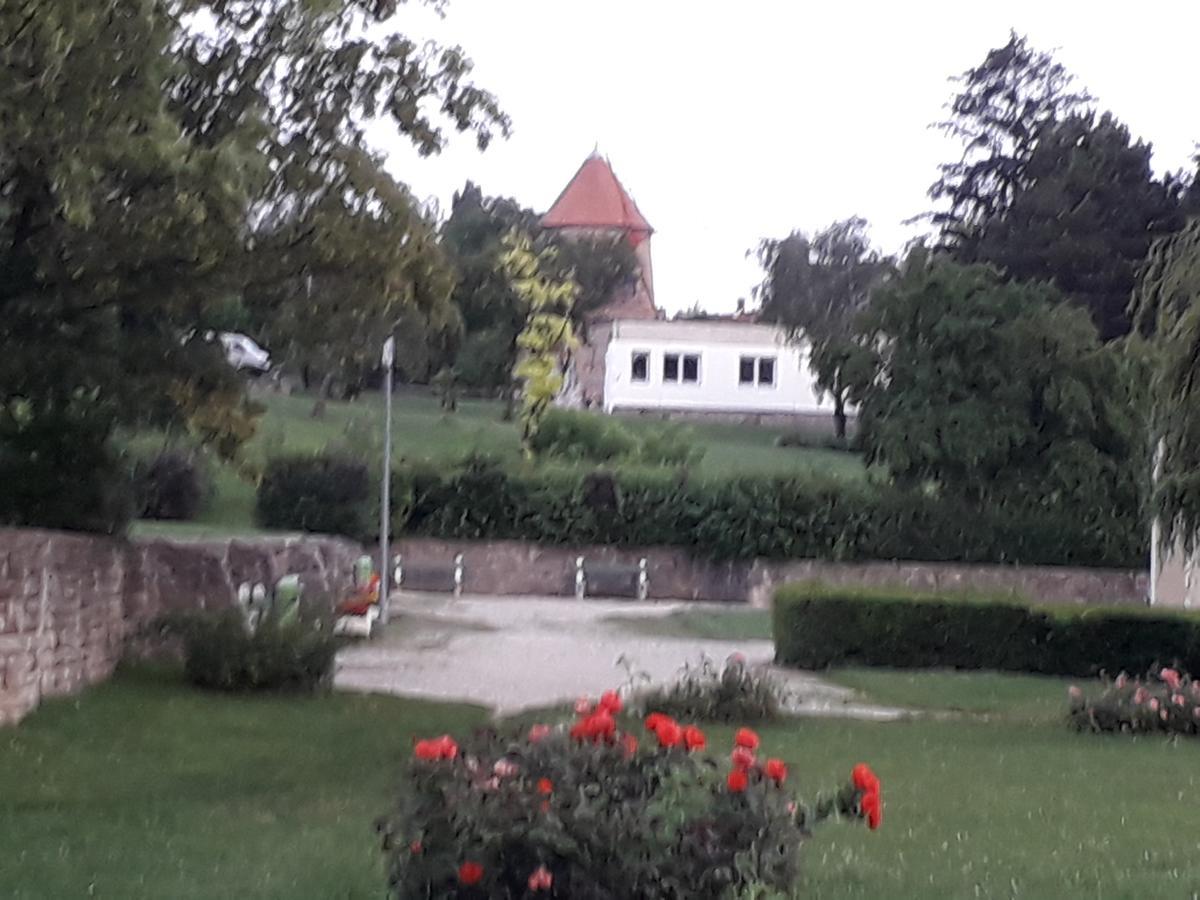 Fenyes Vinorium Bed & Breakfast Шопрон Екстериор снимка